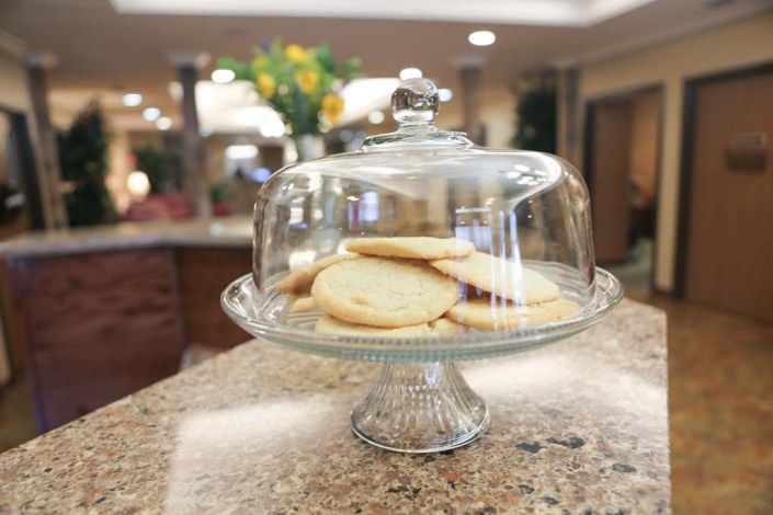 A collection of cookies displayed under a glass dome on a kitchen counter.