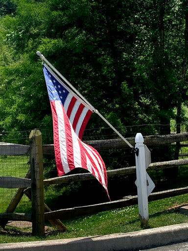 An American flag gently waving in the breeze near a wooden fence amidst lush greenery.