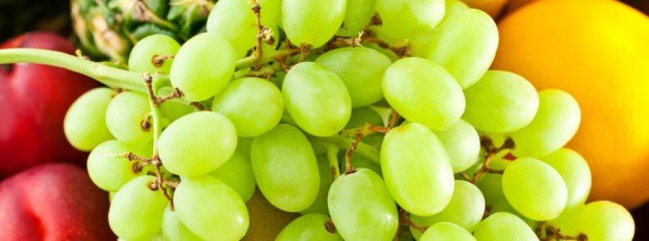 A close-up view of fresh green grapes.