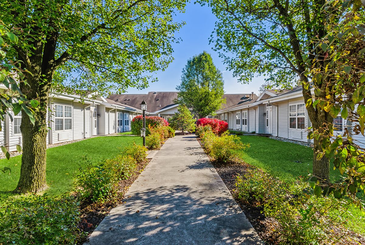 A sunny pathway lined with shrubs and trees, leading through a garden area between buildings.