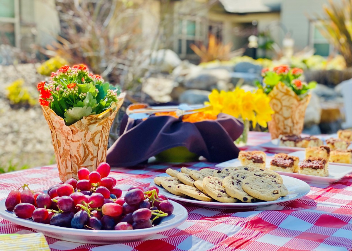 A colorful picnic setup with a table covered in a red and white checkered cloth, featuring plates of grapes, cookies, and salads, surrounded by vibrant flowers in the background.