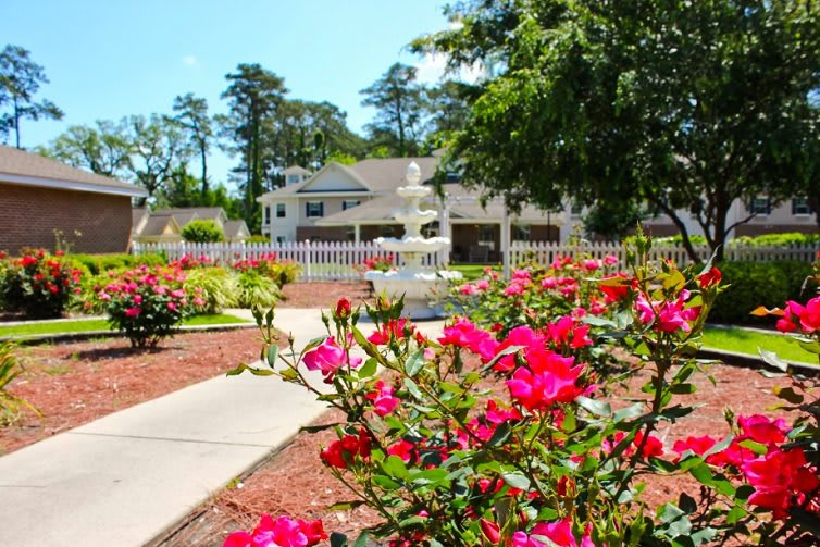 A vibrant garden with blooming roses and a pathway leading to a house in the background.