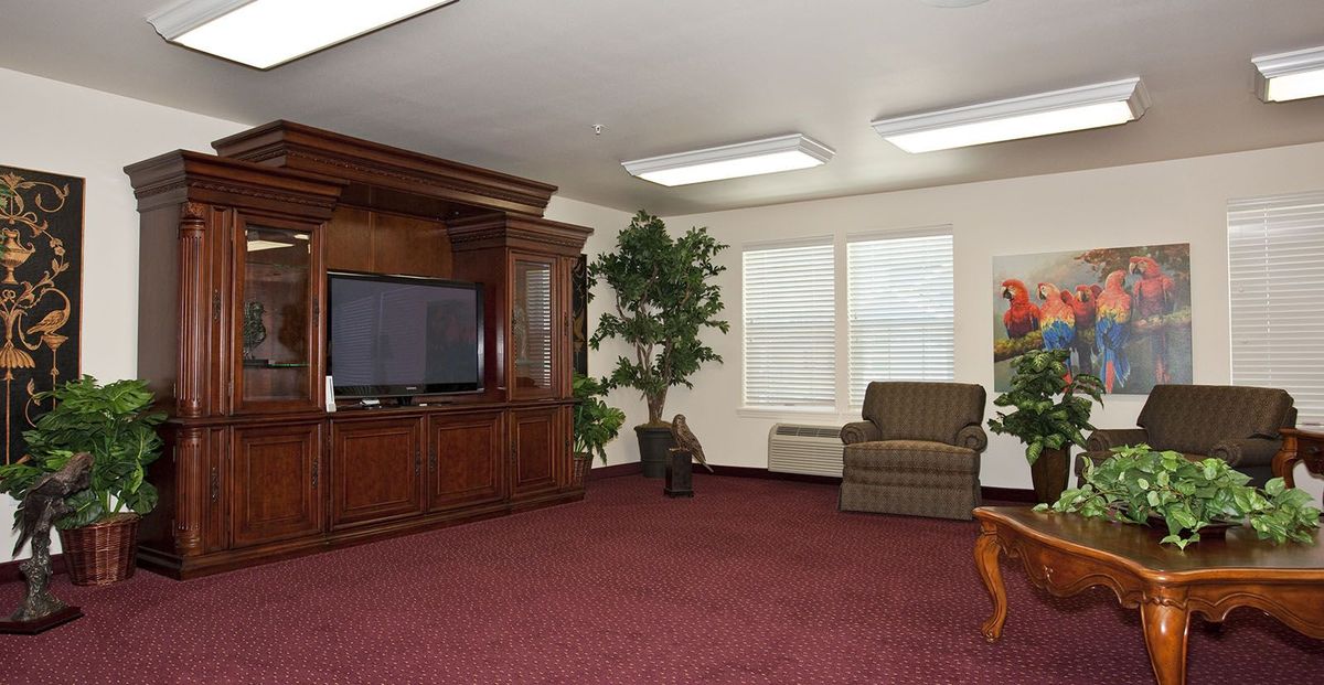 A cozy living room with a wooden entertainment center, armchair, and indoor plant.