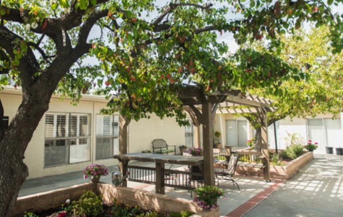 A serene patio with outdoor seating under the shade of trees and a pergola.