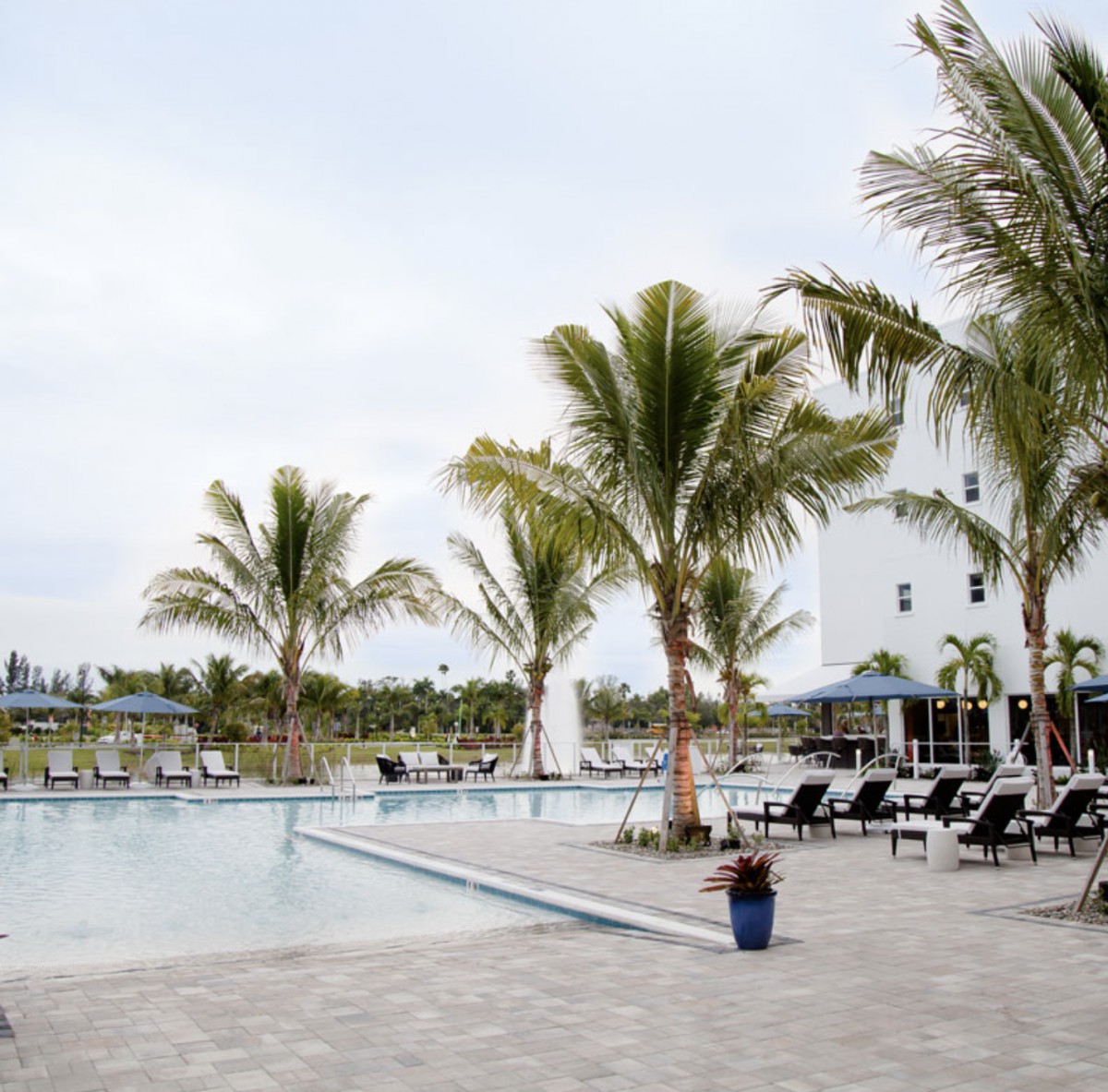A serene resort featuring an outdoor pool surrounded by palm trees and sun loungers.