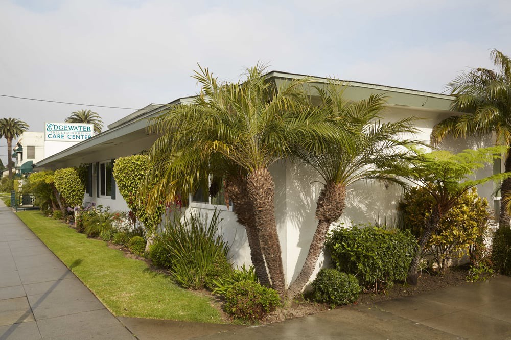 A suburban house with palm trees and neatly maintained landscaping.