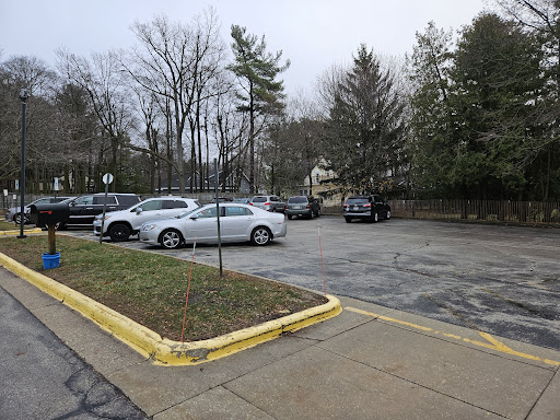 A view of an empty parking lot with several parked cars surrounded by trees on a cloudy day.