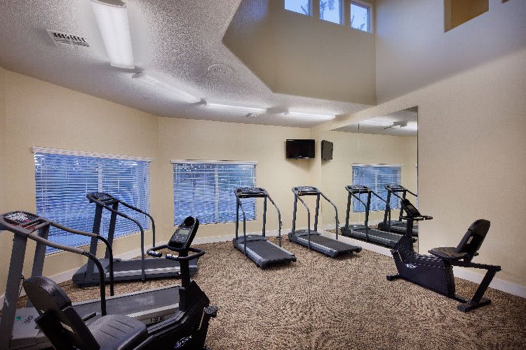 A fitness room with multiple treadmills and exercise equipment.
