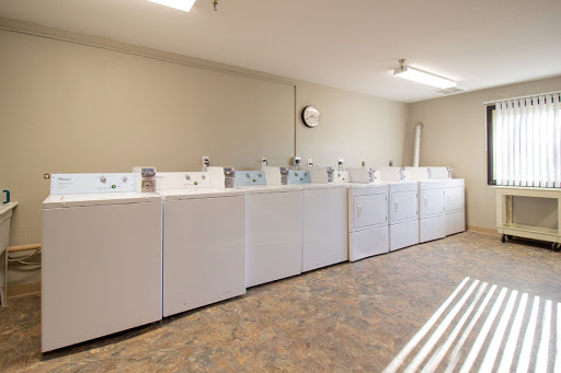 A row of washing machines in a communal laundry room.