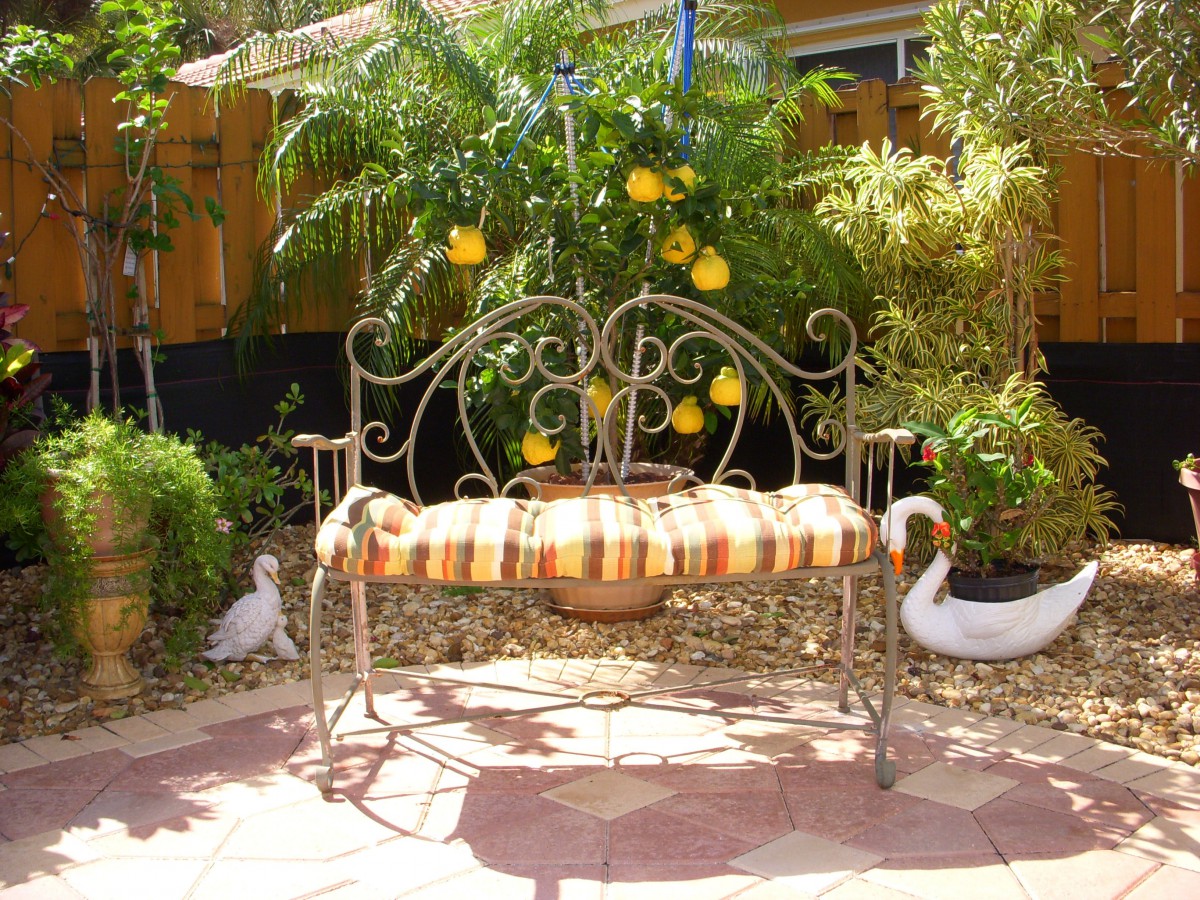 A decorative garden bench with a striped cushion, surrounded by lush plants and sunlight.