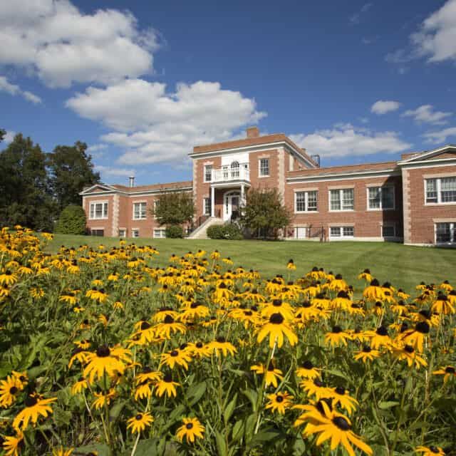 A beautiful brick building surrounded by vibrant yellow flowers on a sunny day.