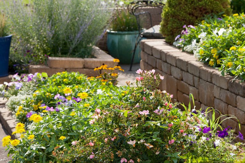 A vibrant garden filled with blooming flowers and lush greenery.