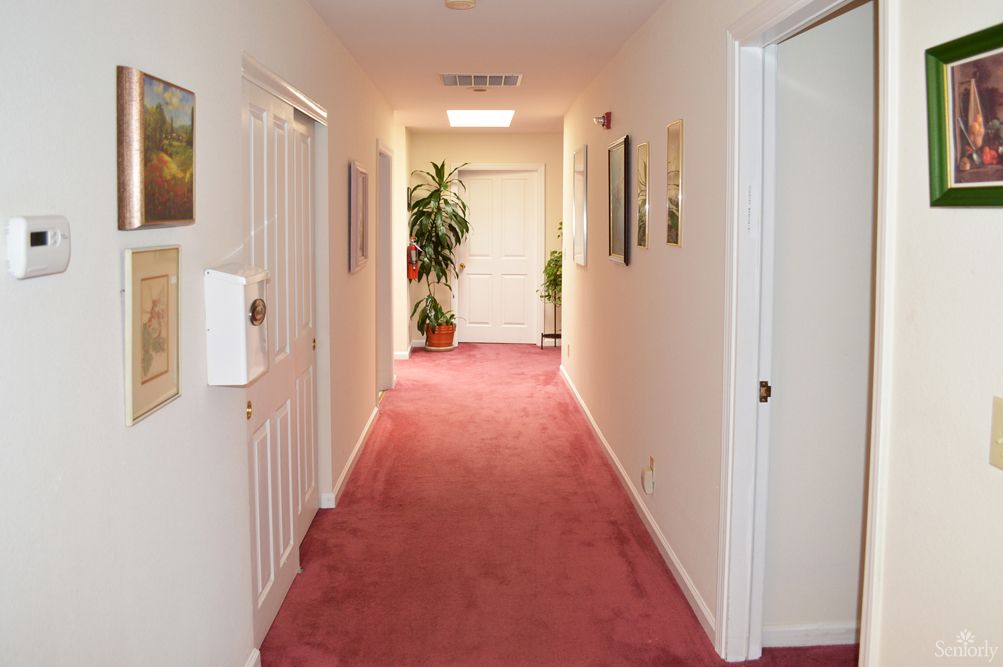 Judy's Home For The Elderly 1