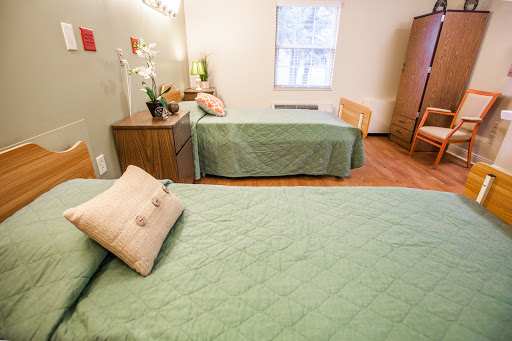 A cozy bedroom featuring two beds with green bedding, complemented by a wooden floor and natural light coming through the window.