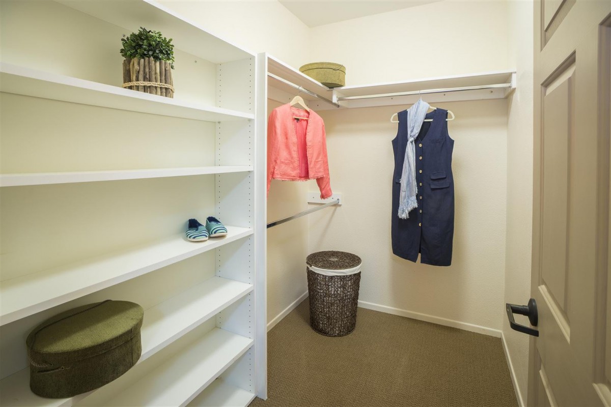 A tidy walk-in closet featuring shelves and hanging clothes.