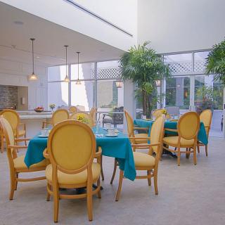 A modern indoor dining area with teal-covered tables and wooden chairs, illuminated by natural light and surrounded by lush green plants.