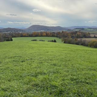 A serene view of a green field with distant mountains under a cloudy sky.