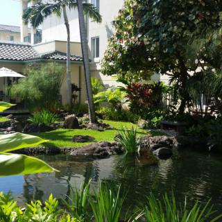 A serene tropical garden with a pond and lush greenery.