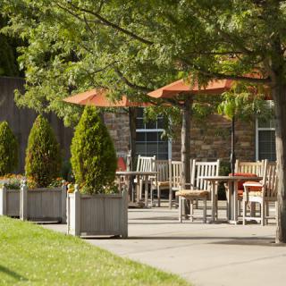 A serene outdoor patio area with tables, chairs, and umbrellas surrounded by lush greenery.