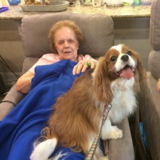 An elderly woman relaxing on a couch with her happy Cavalier King Charles Spaniel by her side.