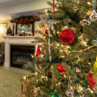 A beautifully decorated Christmas tree with red and gold ornaments and twinkling lights stands in a cozy living room next to a fireplace.
