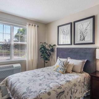 A cozy bedroom with a well-decorated bed, artwork on the walls, and natural light streaming through the window.