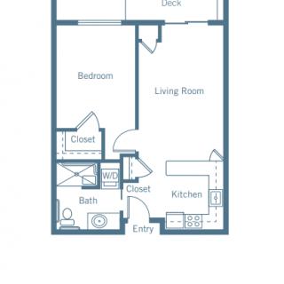 A floor plan of a one-bedroom apartment with a living room, kitchen, bathroom, and closets.