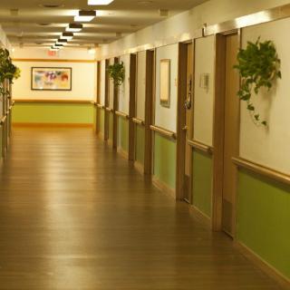 A well-lit corridor with wooden flooring and indoor plants hanging on the walls.