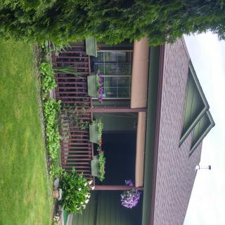 Serenity Living LLC
