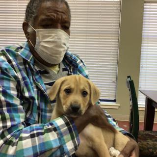 A person wearing a mask gently holds a cute puppy in an indoor setting.