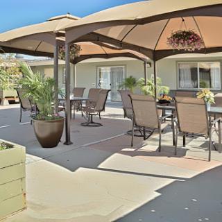 A serene outdoor patio area featuring a canopy for shade, comfortable seating, and potted plants, perfect for gatherings or relaxation.
