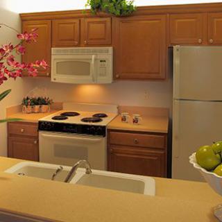 A modern kitchen with wooden cabinets, featuring a stove, microwave, refrigerator, and a double sink on the countertop. The space is decorated with plants and fruit.