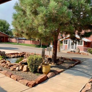 A well-maintained garden with trees and a pathway surrounded by rocks and plants.