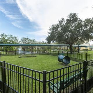 A small, fenced dog park with green grass, benches, and a play tunnel under a clear blue sky.