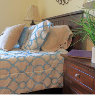 A cozy bedroom setup featuring a bed with decorative pillows, a lamp, and a nightstand with a plant.
