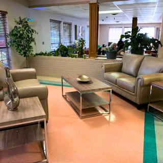 A cozy and modern living room setup with comfortable seating and greenery.