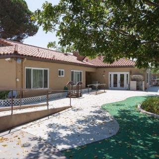 A sunny backyard with a modern house, featuring a spacious patio and surrounding trees.