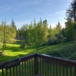 A scenic view of a lush green landscape from a wooden deck, illuminated by the morning sun.