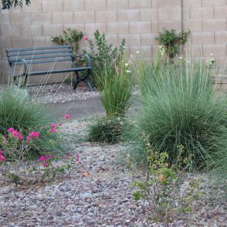 A peaceful garden area with a bench surrounded by various plants and gravel.