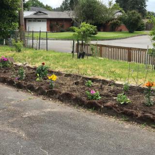 A newly planted flower garden alongside a residential driveway.