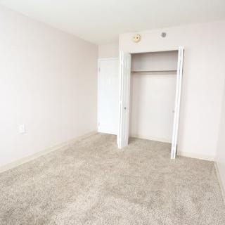 An empty bedroom with white walls, carpeted floor, and an open closet.