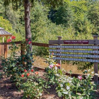 A garden with blooming roses and a sign displaying information set against a lush, green backdrop.