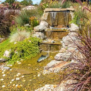 A serene garden with a small cascading waterfall surrounded by lush plants and rocks.