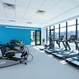 A modern gym featuring treadmills and elliptical machines in a bright, spacious room.