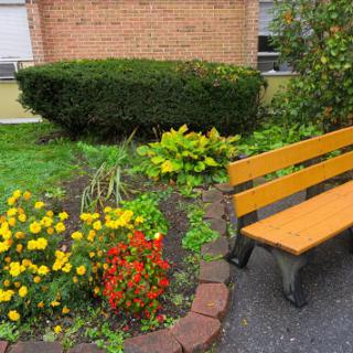 A tranquil garden area featuring a wooden bench surrounded by colorful flowers and neatly trimmed bushes.