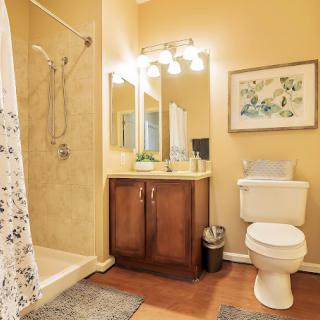 A modern bathroom featuring a shower, vanity with mirror, and toilet.