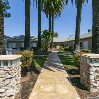 A pathway lined with palm trees leads to a residential building on a sunny day.