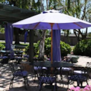 A serene outdoor patio with purple umbrellas and metal furniture under the shade of trees.