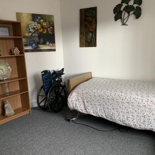 A room with a hospital bed, wheelchair, shelf, and decorative paintings.