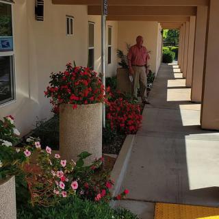 A sunny outdoor corridor adorned with colorful flowers and plants.